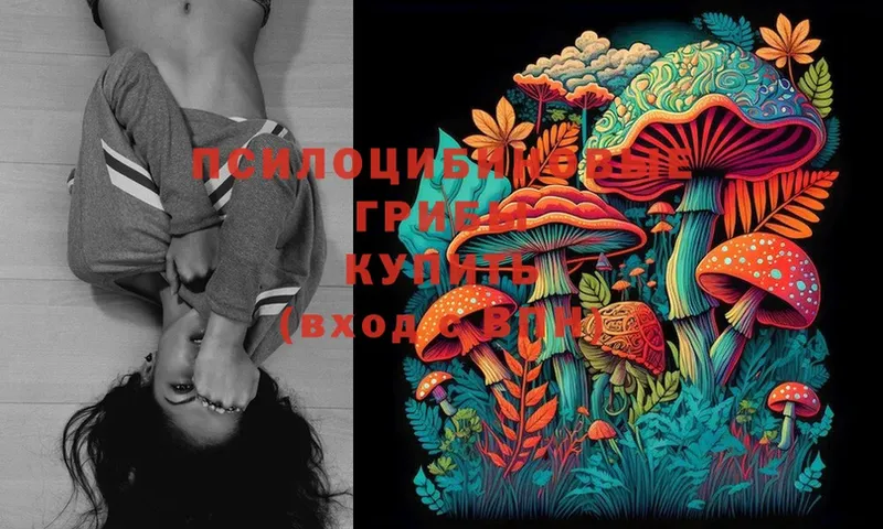 кракен ССЫЛКА  Киров  Галлюциногенные грибы MAGIC MUSHROOMS 